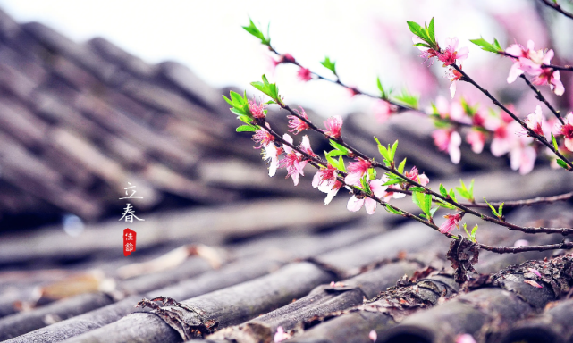 【诗词】敬钢权诗词二十首