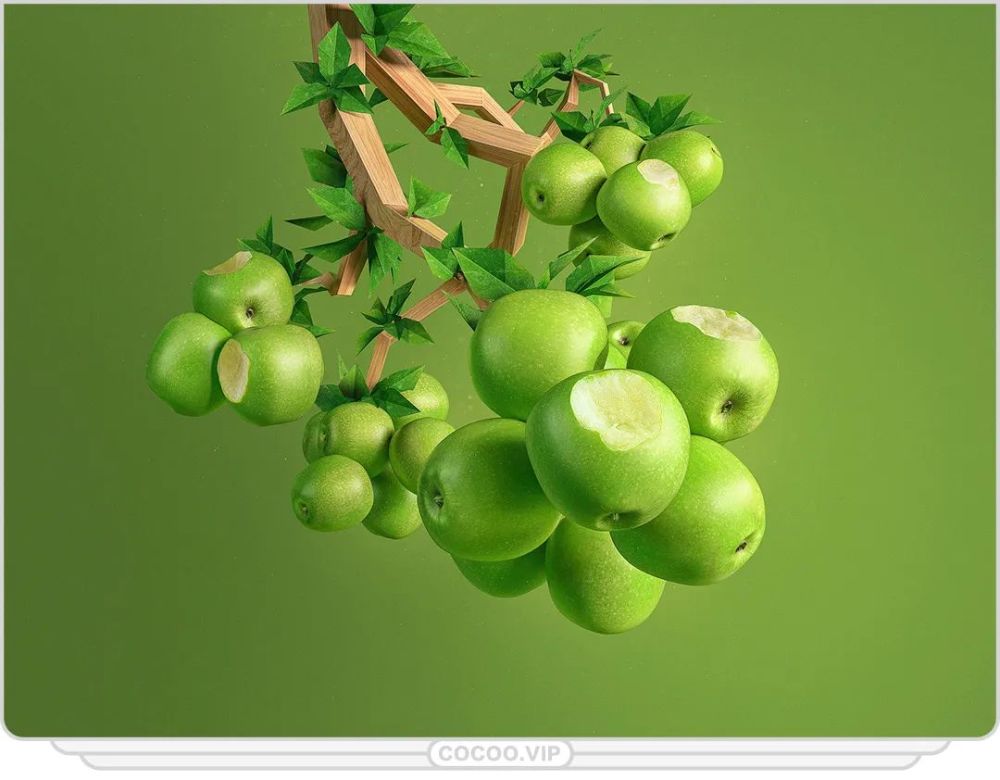 色彩生命之绿带你全面认识绿色