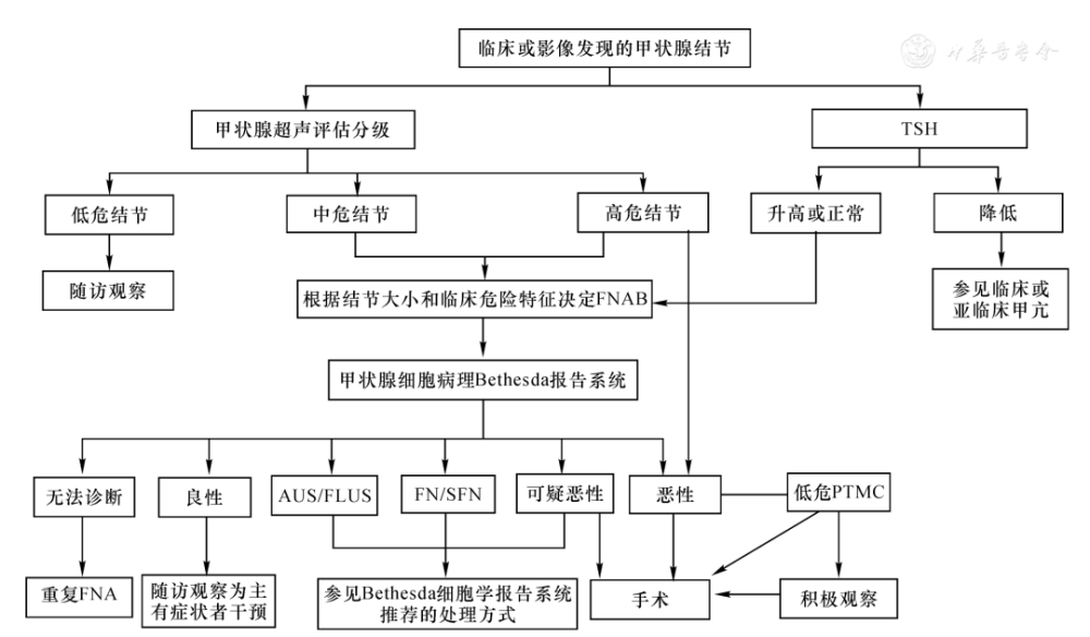 低危乳头状甲状腺微小癌,fna:甲状腺细针穿刺▲图3 老年人甲状腺结节