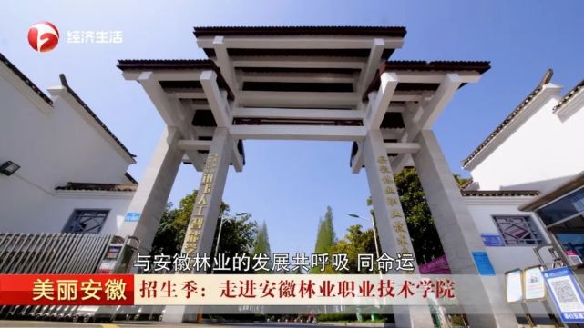 《美丽安徽》:走进安徽林业职业技术学院