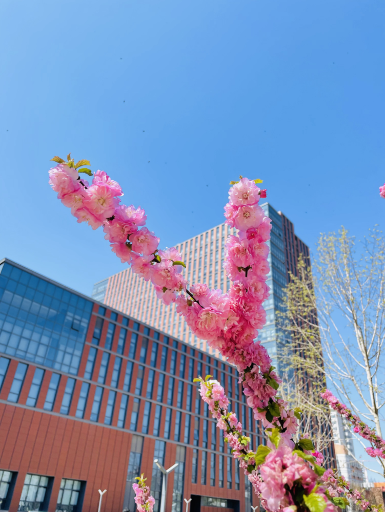 河北医科大学壁纸图片