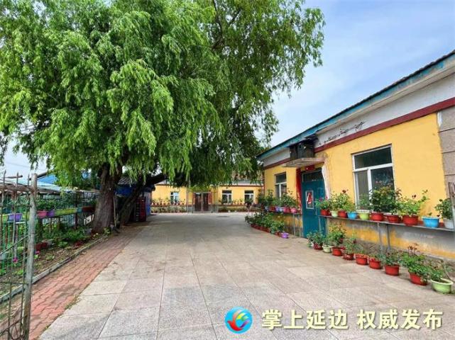 汪清县大兴沟镇双河村打造美丽庭院让乡村更宜居