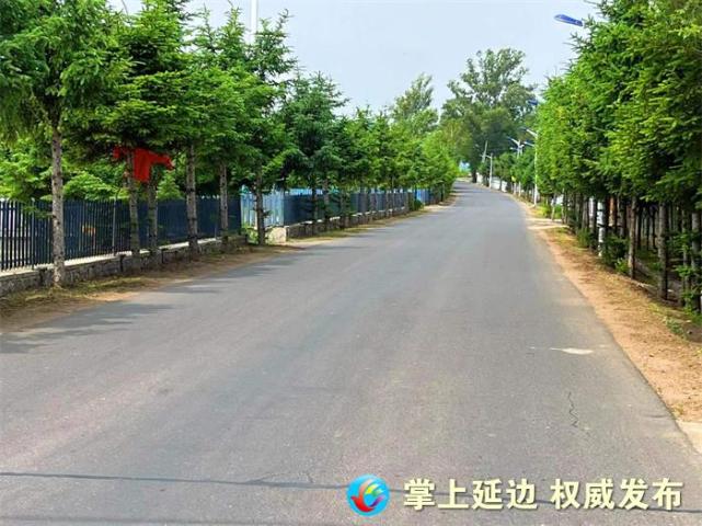 据了解,2021年汪清县民政局在汪清镇砂东村,百草沟镇永和村,春阳镇