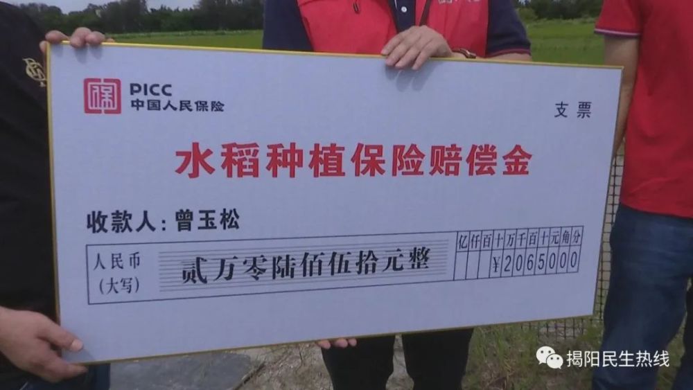 作物受浸农业保险定损理赔