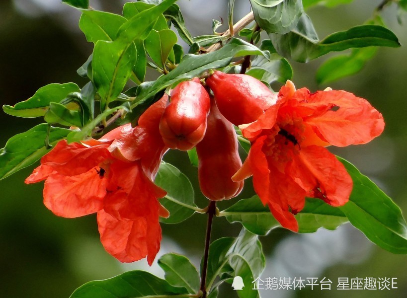 6月23日 29日星座运势 精益求精 扬眉吐气的四大星座 文通新闻网 有思想的网站