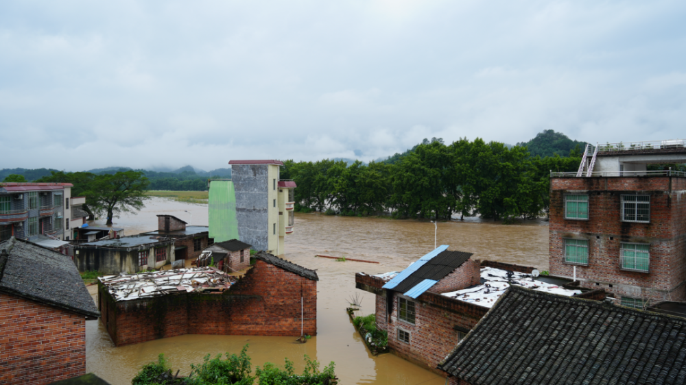 洪水来袭连州东陂镇寨江村马头陂村紧急转移被困群众