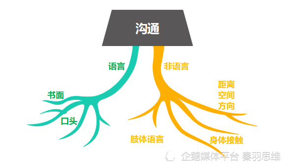 溝通的基本要點有哪些