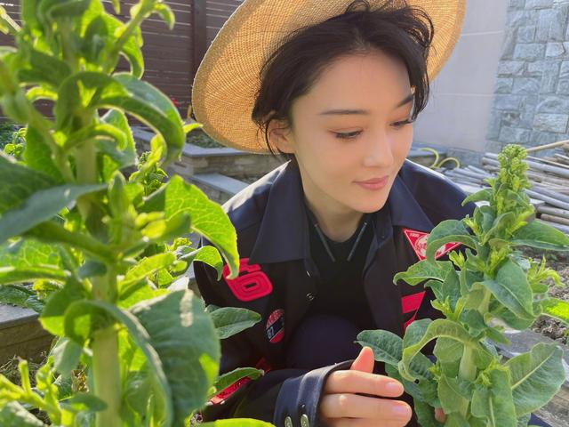 张馨予晒自家菜园子过上了田园生活网友这次做对了选择