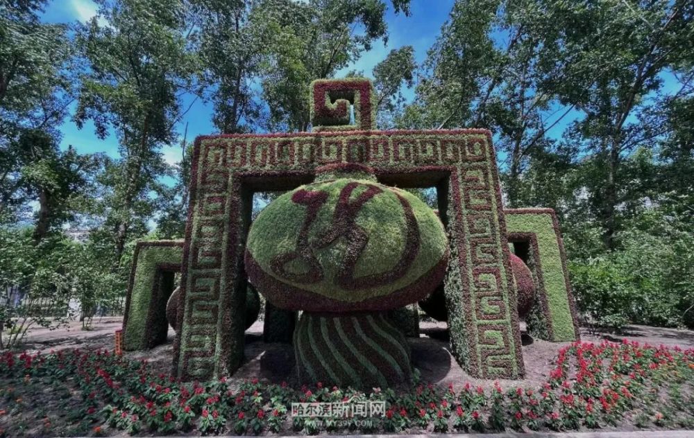 据了解,五色草在哈尔滨已有百余年种植历史,被称为"哈尔滨草",它植株