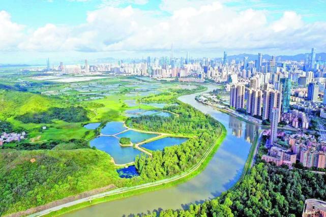 观文脉深圳河繁华与恬静