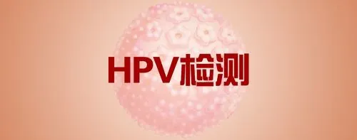 若在hpv13阳性的基础上,各项检查显示宫颈有病变,就比较严重,这时需要