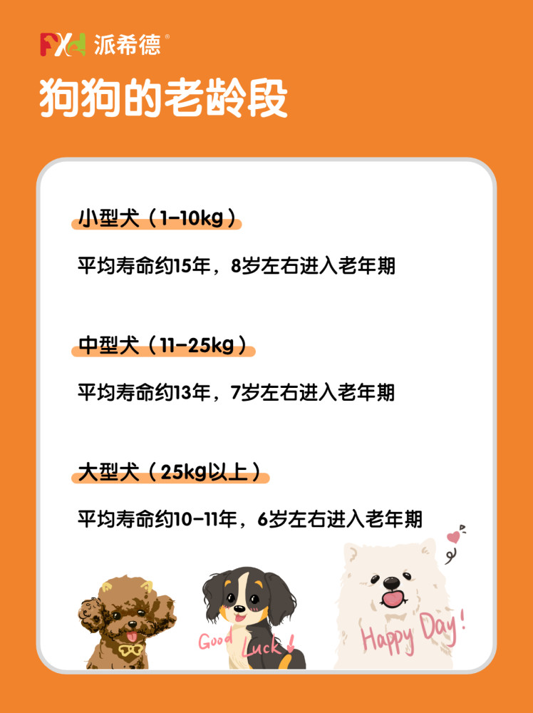 当狗狗变老丨长寿狗狗如何喂养 腾讯新闻