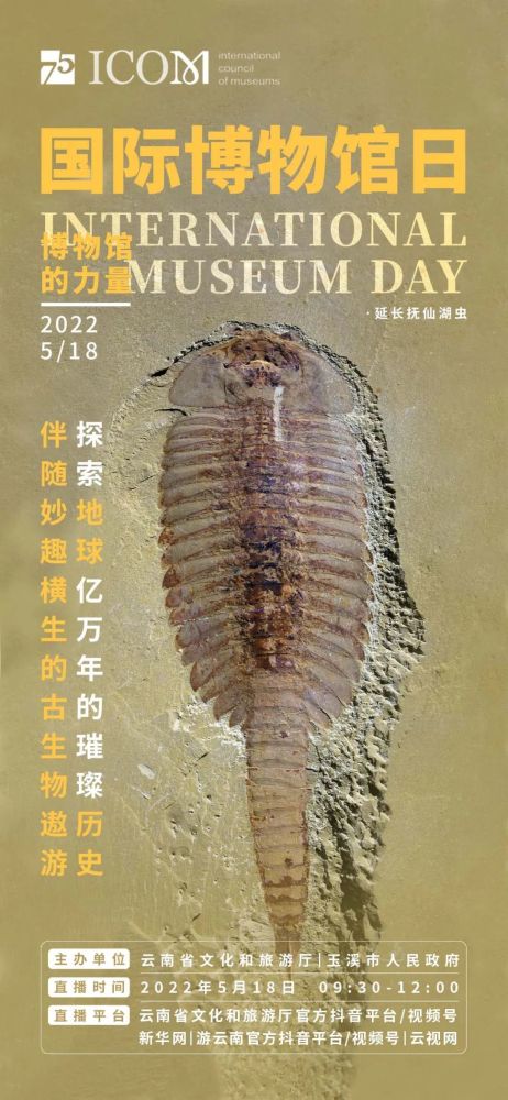 2022年“5·18国际博物馆日”来了！云南各地博物馆活动一键获取(图4)