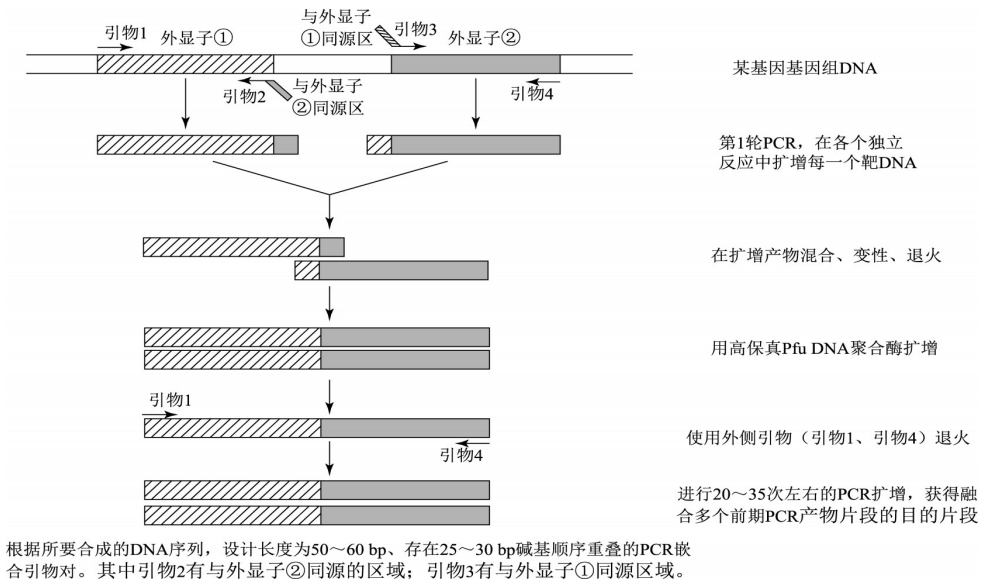 实验与培训｜本刊好文：5种常用pcr技术简介 腾讯新闻