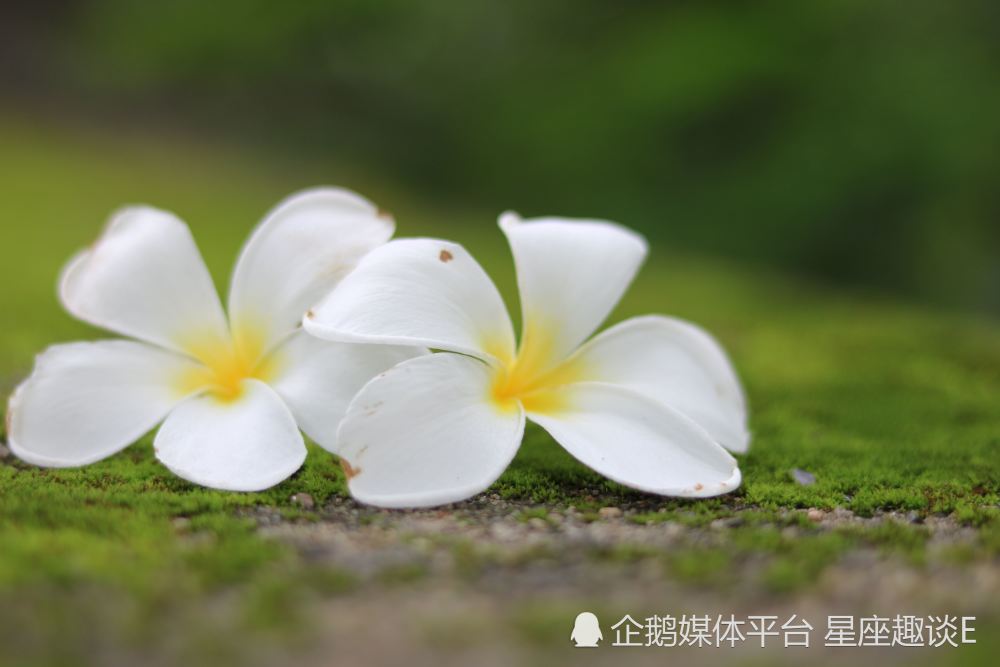 6月24日 30日星座运势 贵人提携 稳扎稳打的四大星座 文通新闻网 有思想的网站