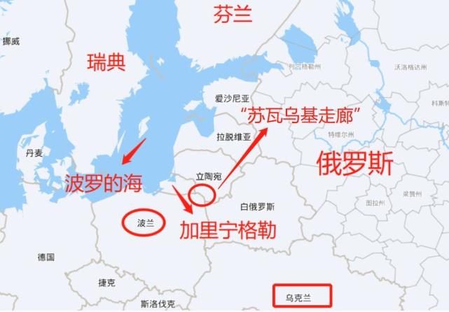 俄乌冲突第119天又一名美国雇佣兵在乌阵亡俄罗斯反击立陶宛