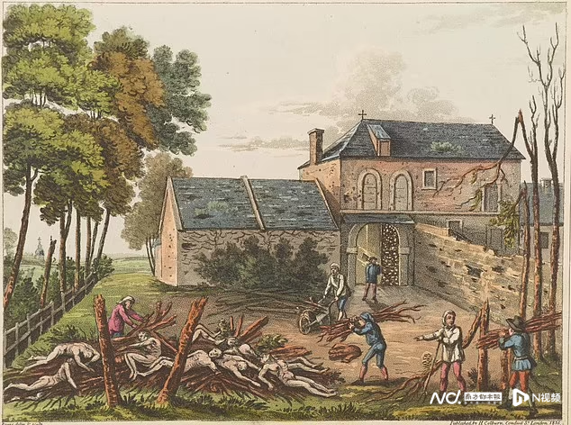 滑铁卢战役阵亡将士遗骨被盗贼当肥料变卖 骨粉主要卖到英国 腾讯新闻