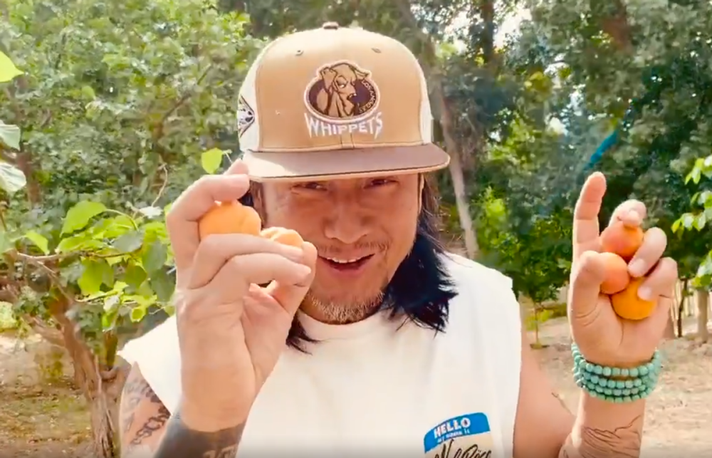 58岁孙兴近况曝光留长发胡子拉碴显老定居乡下蹲地上捡果子吃