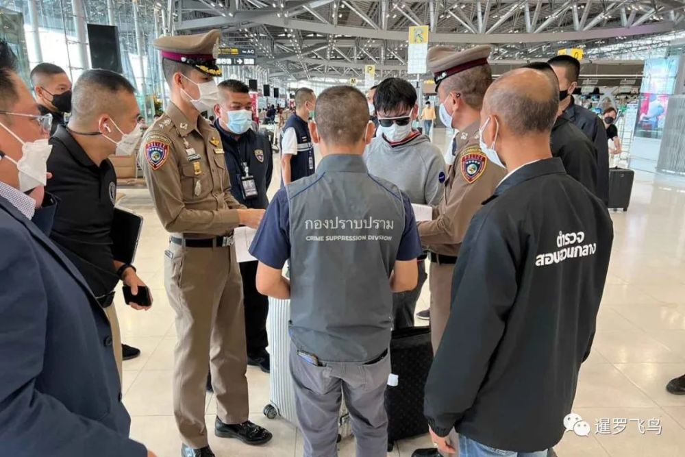 泰国寿司连锁店老板欺诈过亿跑路，在机场被捕，否认所有指控