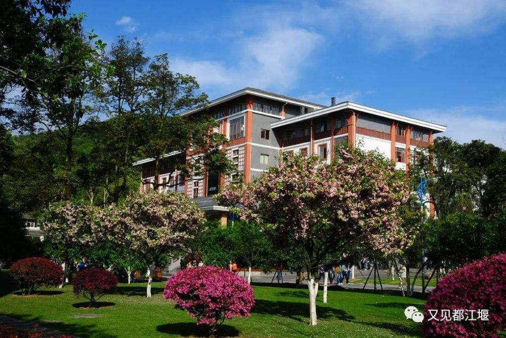 四川高考成绩今晚开查都江堰这5所院校与你一起迎接未来式