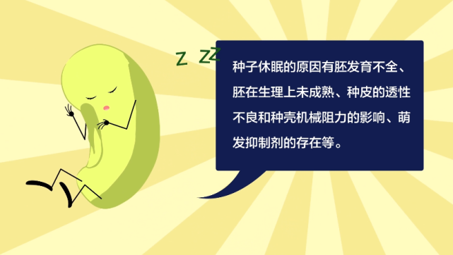 三农词条种子为什么会休眠