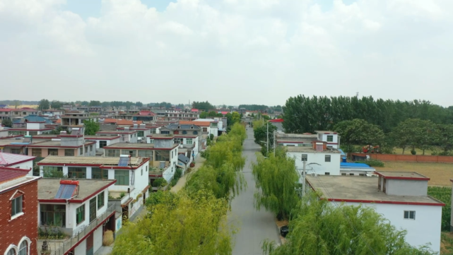 临泉这个村,美翻了!