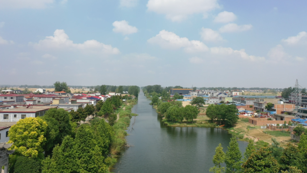 临泉这个村美翻了