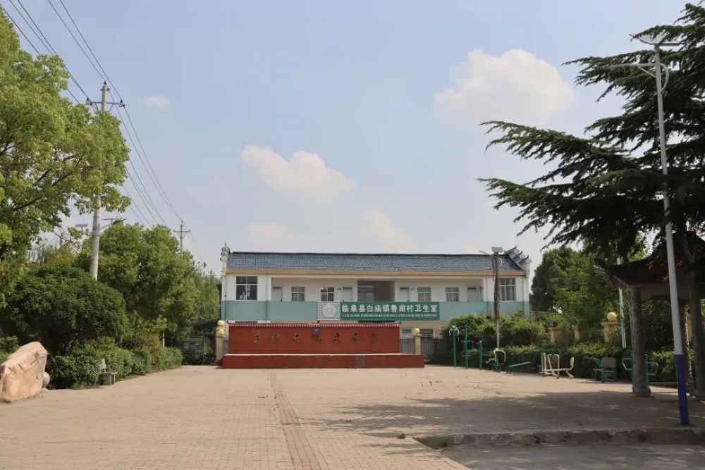 临泉这个村美翻了