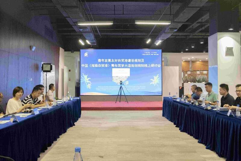 海南召开涉两青年事项编制研讨会