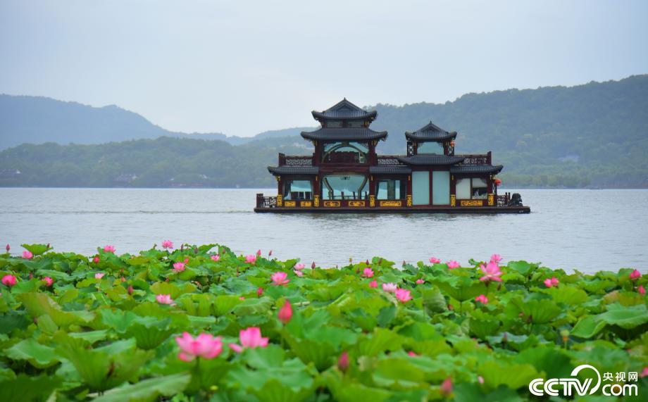 杭州西湖荷花盛開