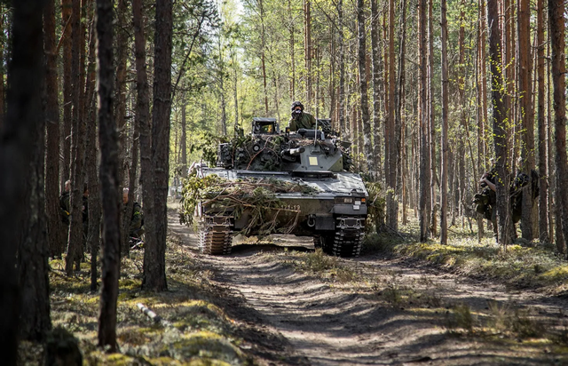 同样面对俄罗斯，为何爱沙尼亚要找北约搬救兵，芬兰却很自信？