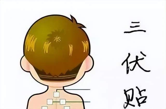 贴三伏有哪些好处_贴三伏有什么用_三伏贴真的有用吗