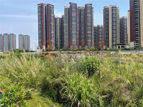 二次出手楼面价5407元㎡嘉霖集团揽大亚湾西区小宗商住地