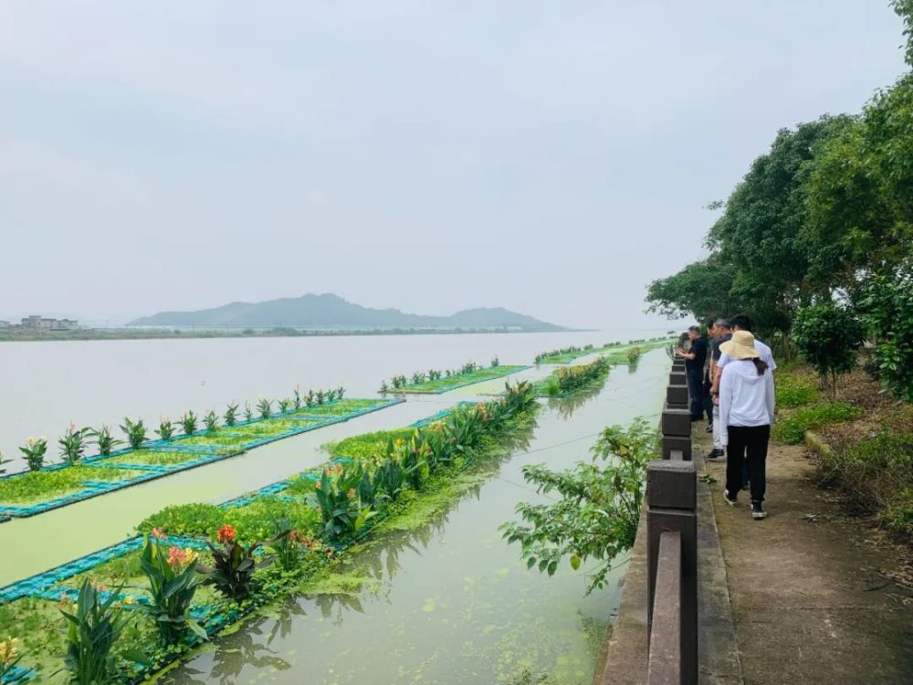 生态登上国际知名学术期刊象山大塘港综合治理取得阶段性进展