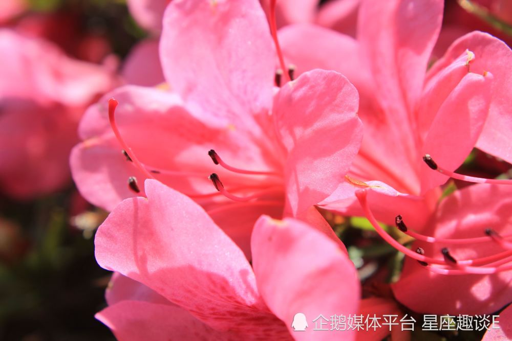 6月25日 7月1日星座运势 镇定自若 旗开得胜的四大星座 腾讯新闻