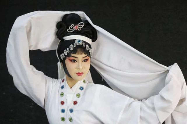 严天民赣剧《血溅乌纱》吴显俊饰演 赖水镜赣剧《十五贯》张歌饰演