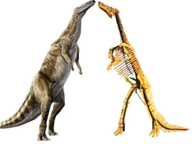 潍坊创建"东亚文化之都"丨牙齿最多的恐龙—鸭嘴龙