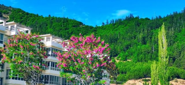 甘肃省迭部生态建设管护中心"喜迎二十大 林区好声音"主题朗诵歌唱