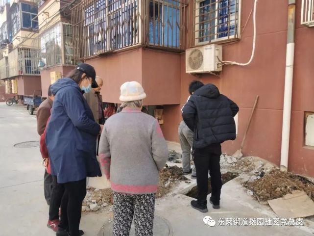 【幸福家园大家谈】东莱街道松园社区:注入"红细胞,盘活治理"一盘棋"