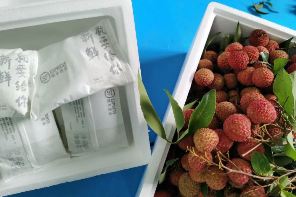 京东物流和邮政速递物流与荔枝种植大户对接合作,把荔枝的仓储,包装