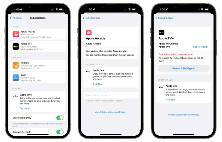 苹果更新 iPhone 上的订阅管理界面：间距更大，显示更详细
