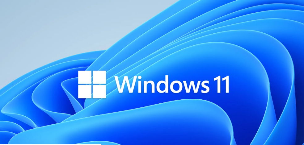 面世一年，Windows11“静悄悄”？