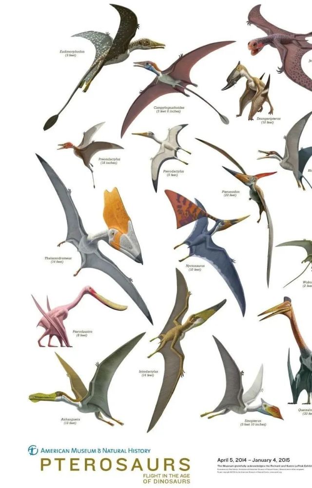 我们仍然生活在恐龙时代!_腾讯新闻