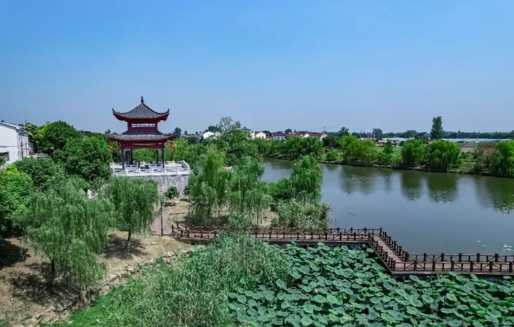 说好了今夏来盘城葡萄节撒野