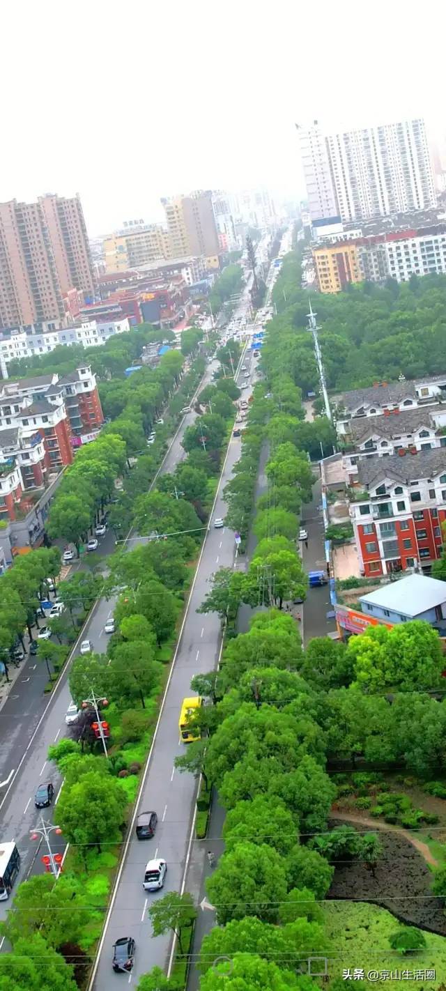 京山城区这几条道路,你认得几条?