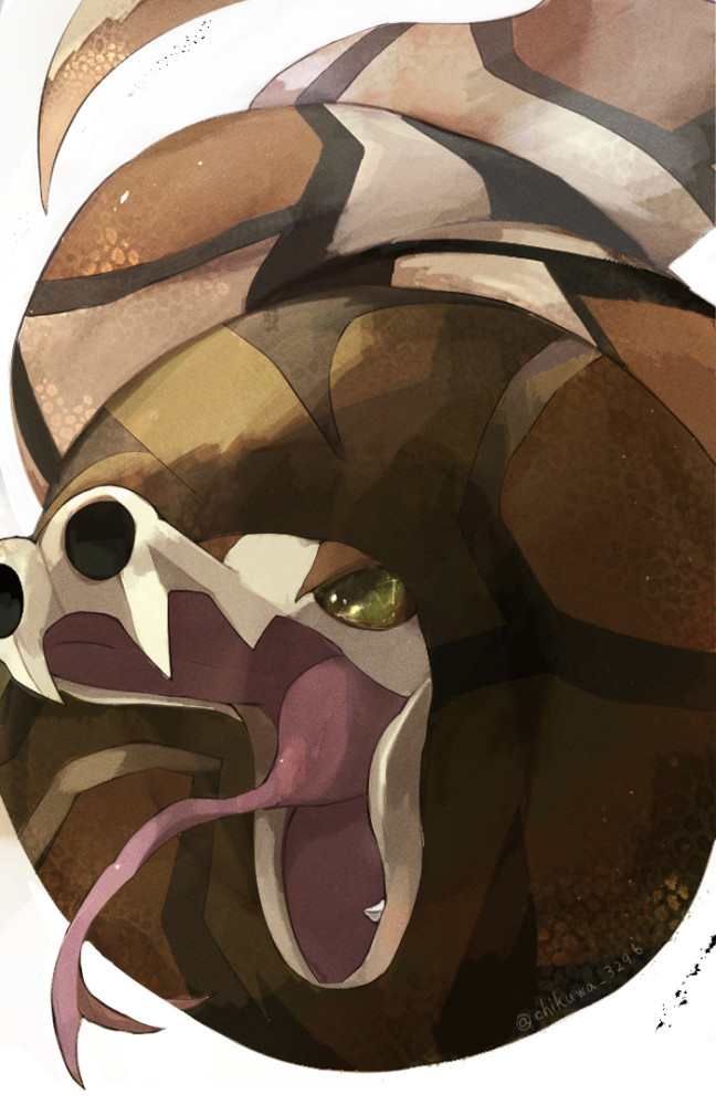 宝可梦另有其人的龙族之耻相比之下赤面龙都可谓是根正苗红