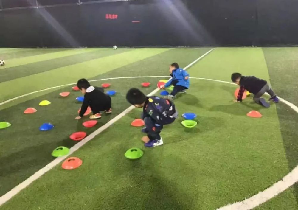 重磅！嘉定顶流体育综合体要放大招了！(图37)