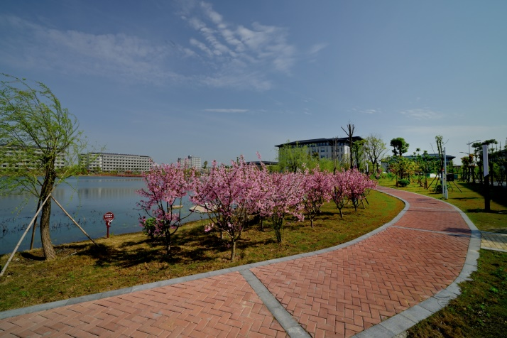 南京师范大学中北学院2022年招生简章 - 265学校教育网