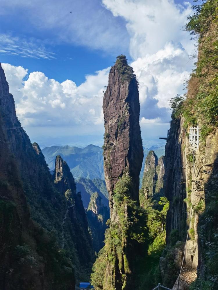 6月25日上午,由湖南日报社和宜章县人民政府,莽山国有林业管理局联合