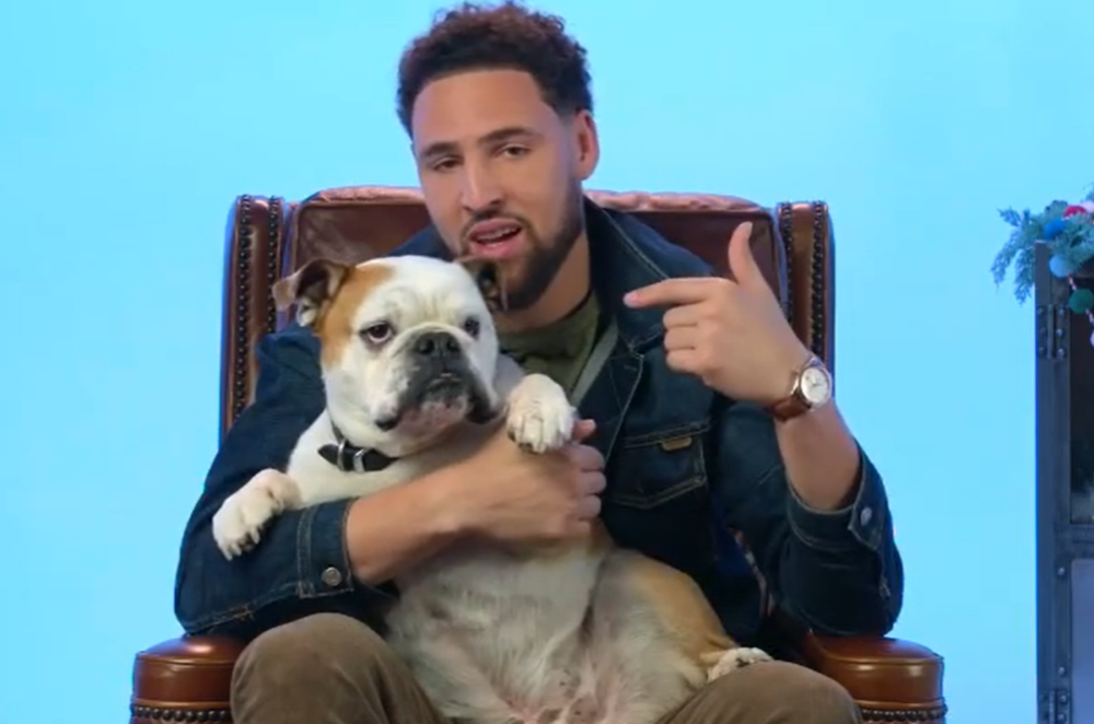 没有女友只有狗汤神带rocco乘坐私人飞机出行游玩令人羡慕